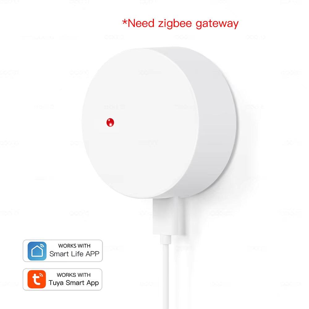 Zigbee Wifi Mmwave Human Presence Motion Sensor Radar Wave Human Detector Motion Detector Tuya Hub Smart Life Home Automation